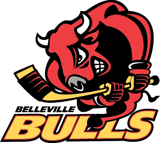 Belleville Bulls 1998-pres primary logo iron on transfers for T-shirts